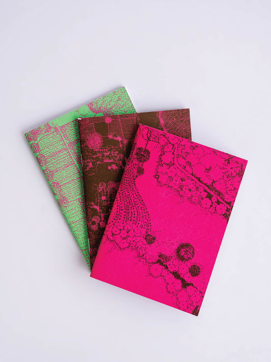 Ways of Knowing Notebooks