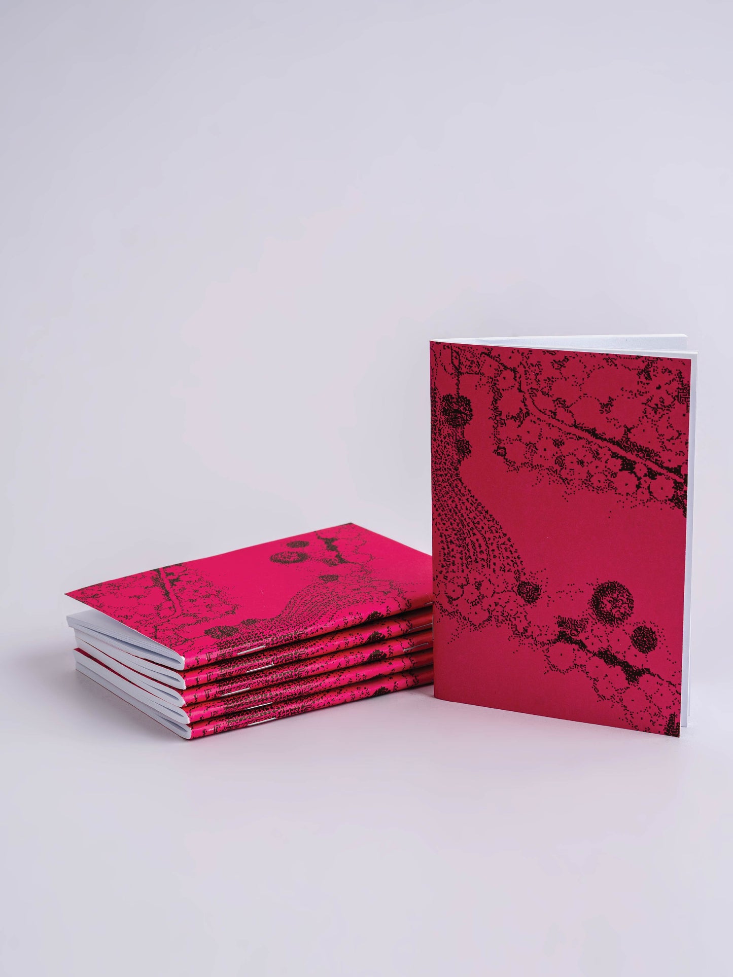 Ways of Knowing Notebooks