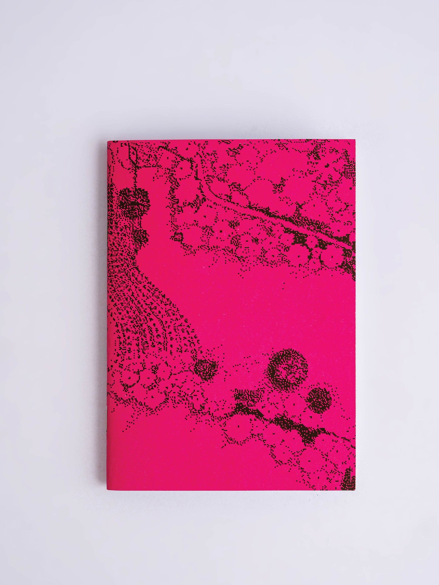 Ways of Knowing Notebooks